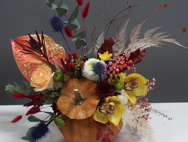 Composition in a Pumpkin with Anthurium, 'Evening Fairy Tale' photo